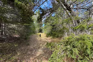 M2L3-M6L16 Campbell Rd, Whiting, ME 04691 - Photo 19