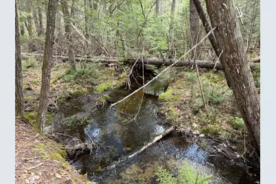 0 Map 7/1 Ebens Trail, Orland, ME 04472 - Photo 11