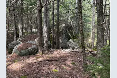 0 Map 7/1 Ebens Trail, Orland, ME 04472 - Photo 9
