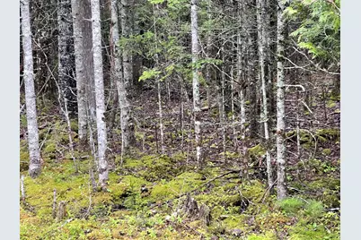 Lot #10 North Road, Lamoine, ME 04605 - Photo 13