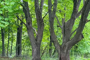 156 Railroad St, Clinton, ME 04927 - Photo 7