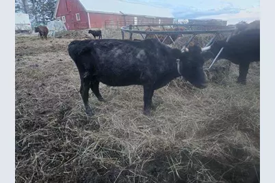 75 Doucette Road, Grand Isle, ME 04746 - Photo 19