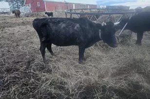 75 Doucette Rd, Grand Isle, ME 04746 - Photo 19