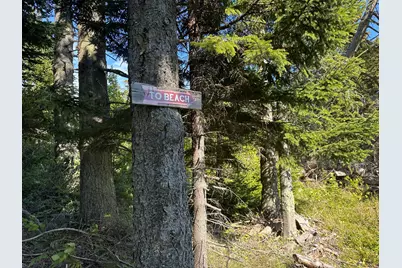 53 Ice Pond Lane, Matinicus Isle, ME 04851 - Photo 13