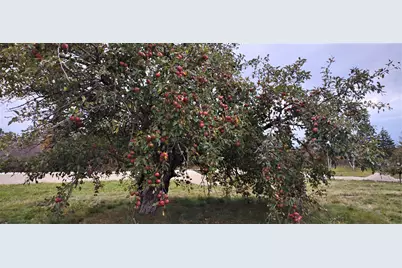 1489 Indian River Road, Jonesport, ME 04649 - Photo 11