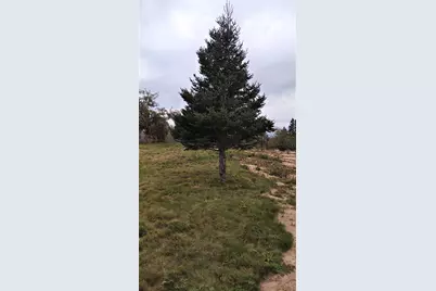 1489 Indian River Road, Jonesport, ME 04649 - Photo 9