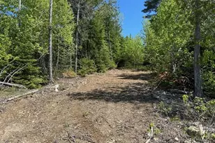 Lot 3 Mt Jefferson Heights, Lee, ME 04455 - Photo 1