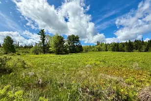 149 Old Eastport Rd, Perry, ME 04667 - Photo 21