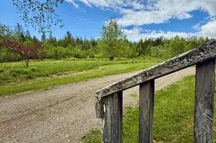 149 Old Eastport Rd, Perry, ME 04667 - Photo 53