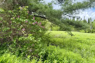 149 Old Eastport Rd, Perry, ME 04667 - Photo 23