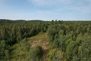 149 Old Eastport Rd, Perry, ME 04667 - Photo 7