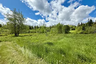 149 Old Eastport Rd, Perry, ME 04667 - Photo 25