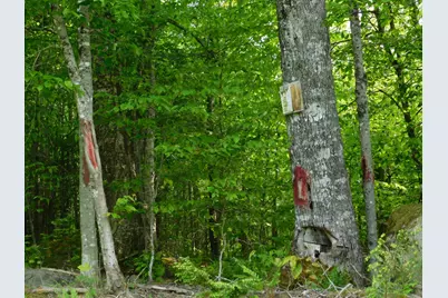 121 Parkman Hill Road, Solon, ME 04979 - Photo 13