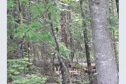 121 Parkman Hill Road, Solon, ME 04979 - Photo 15