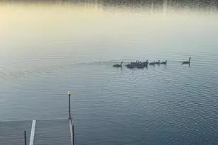 33-34 Gerber Ln, Monmouth, ME 04259 - Photo 89