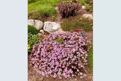 684 The Shore Road, Castine, ME 04421 - Photo 33