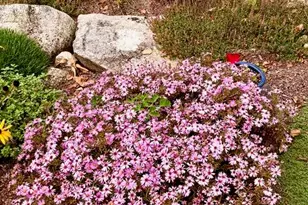 684 The Shore Rd, Castine, ME 04421 - Photo 33