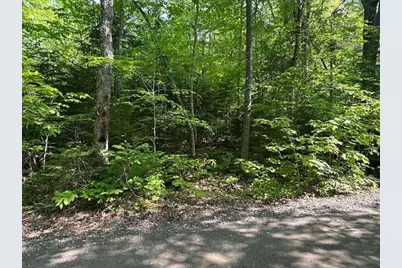Lot 1 Scammon Road, Greenville, ME 04441 - Photo 13