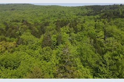 Lot 1 Scammon Road, Greenville, ME 04441 - Photo 7