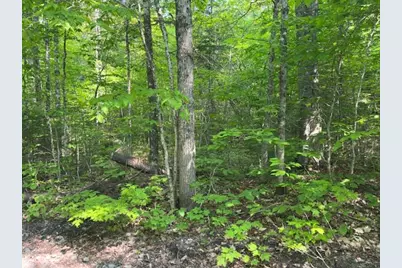 Lot 1 Scammon Road, Greenville, ME 04441 - Photo 3