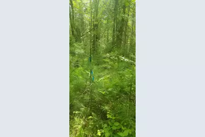 M13, L36, Harland Cunningham Road, Penobscot, ME 04476 - Photo 13