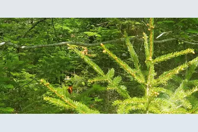 M13, L36, Harland Cunningham Road, Penobscot, ME 04476 - Photo 9