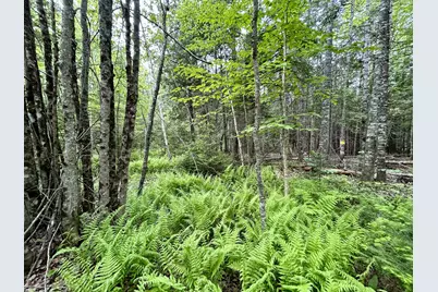 M5 L27-3 Marks Road, Albion, ME 04910 - Photo 13