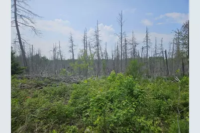 2016 2016 Hudson Road, Hudson, ME 04449 - Photo 11