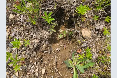 2016 2016 Hudson Road, Hudson, ME 04449 - Photo 13