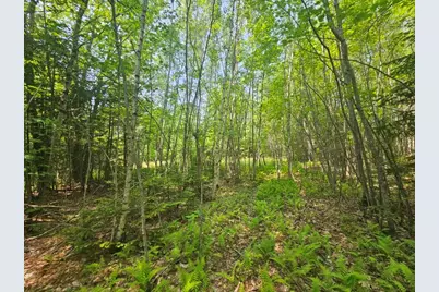 2016 2016 Hudson Road, Hudson, ME 04449 - Photo 19