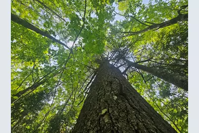 2016 2016 Hudson Road, Hudson, ME 04449 - Photo 1