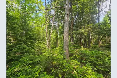 2016 2016 Hudson Road, Hudson, ME 04449 - Photo 25