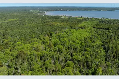 Map 1 Lot 9 Cutler Road, Whiting, ME 04691 - Photo 9