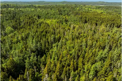 Map 1 Lot 9 Cutler Road, Whiting, ME 04691 - Photo 11
