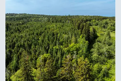 Map 1 Lot 9 Cutler Road, Whiting, ME 04691 - Photo 13