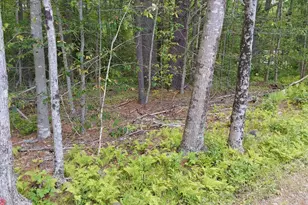 M19-L16-1 Augsuta Rd, Jefferson, ME 04348 - Photo 1