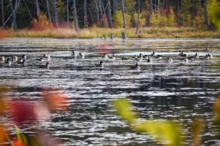 54 Carver Rd, Milo, ME 04463 - Photo 81