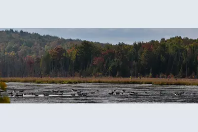 54 Carver Road, Milo, ME 04463 - Photo 83