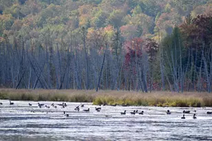 54 Carver Rd, Milo, ME 04463 - Photo 57