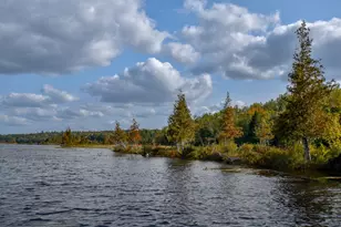 54 Carver Rd, Milo, ME 04463 - Photo 71