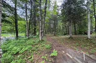 6 Maple Dr, Abbot, ME 04406 - Photo 65