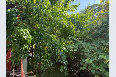 364 & 367 Main Road, Islesboro, ME 04848 - Photo 19