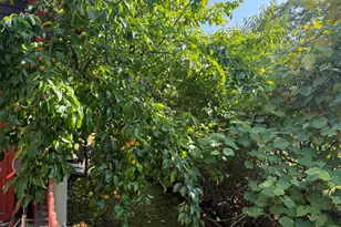 364 & 367 Main Rd, Islesboro, ME 04848 - Photo 19