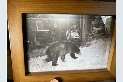 Lot 1 Off Bear Brook Road, T25 Md Bpp, ME 04686 - Photo 17