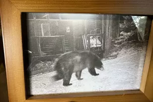 Lot 1 Off Bear Brook Rd, T25 Md Bpp, ME 04686 - Photo 17