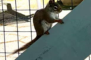 463 Seawall Rd, Southwest Harbor, ME 04679 - Photo 89