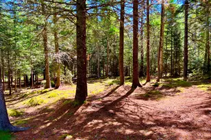 463 Seawall Rd, Southwest Harbor, ME 04679 - Photo 87