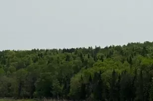 1027 Gardner Creek Rd, Wade, ME 04786 - Photo 99