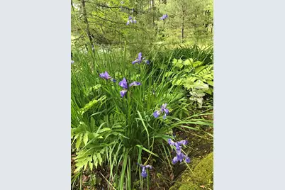 260 Coombs Road, Brunswick, ME 04011 - Photo 13