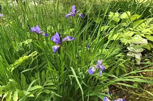 260 Coombs Rd, Brunswick, ME 04011 - Photo 13